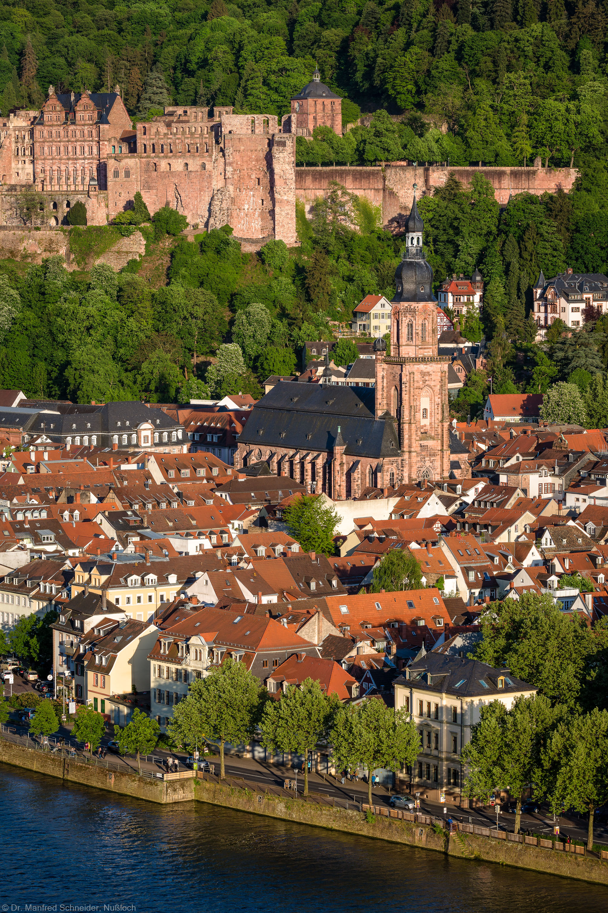 Heidelberg - Heiliggeistkirche - Nordwestseite - Blick vom westlichen Philosophenweg auf das Schloss, die Altstadt und die Heiliggeistkirche (aufgenommen im Mai 2015, am frühen Abend)